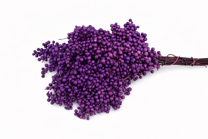 <h4>Schinus M Pt Lavender Bunch</h4>