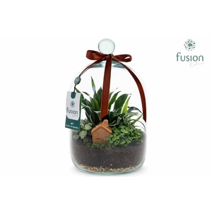 Green Bottle Novella Medium met arrangement