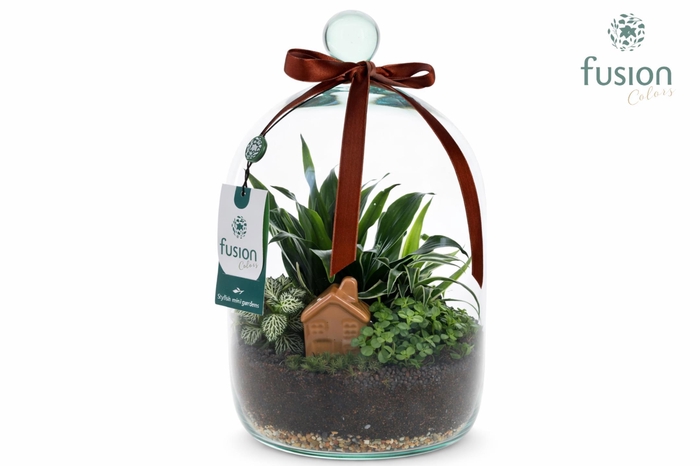 <h4>Green Bottle Novella Medium met arrangement</h4>