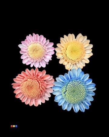 Chr T Stallion Dusty Mix