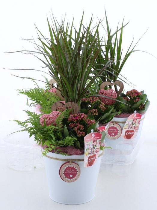 <h4>ARR KAMERPL</h4>