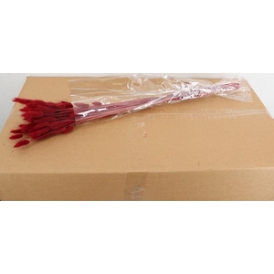 DF Lagurus Bs 50g/70cm Dark Red