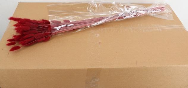 <h4>DF Lagurus Bs 50g/70cm Dark Red</h4>