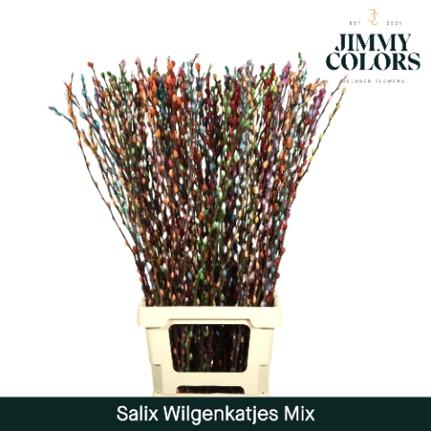 Salix Katjes L90 Klbh. Rainbow mix