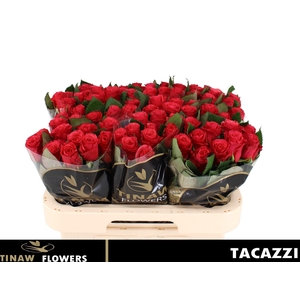 R GR TACAZZI+