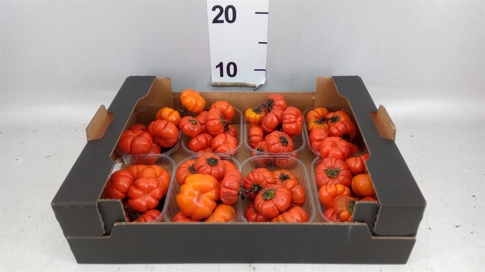 <h4>Cucumis  'Decumis'   .../stuk</h4>