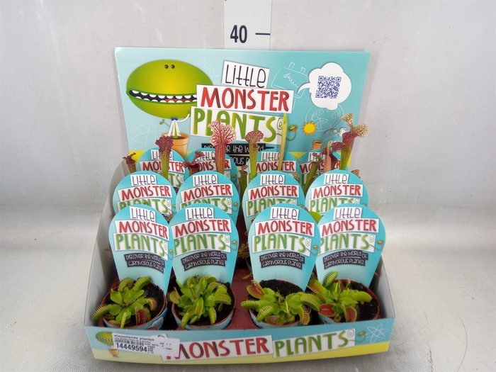 <h4>Vleesetende planten</h4>