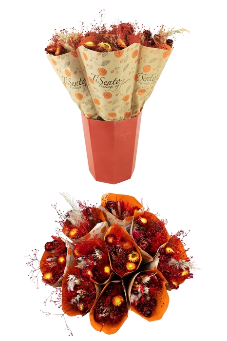 <h4>DROOGBL BEWERKT H%</h4>