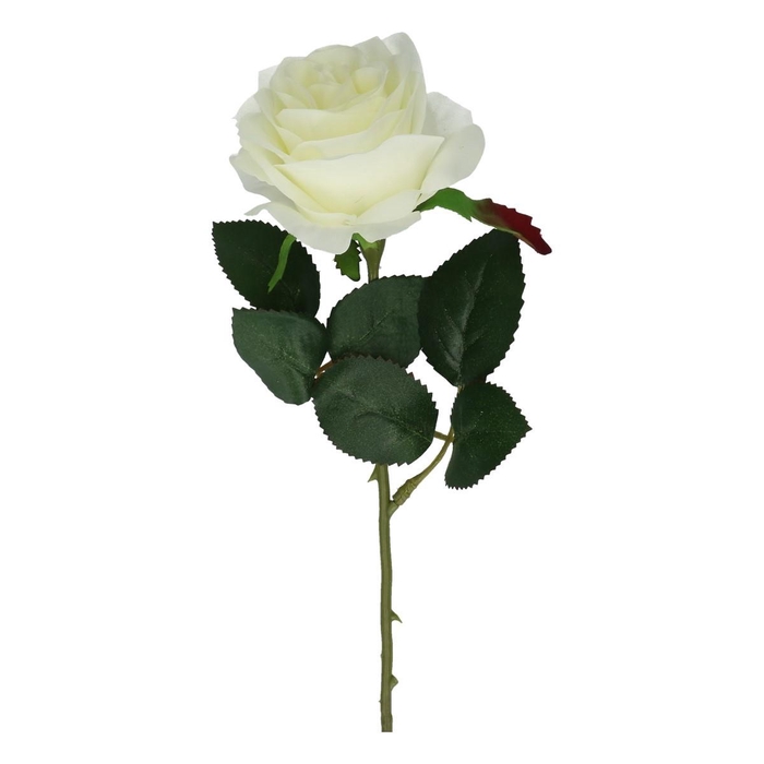 <h4>Rosa 45cm</h4>