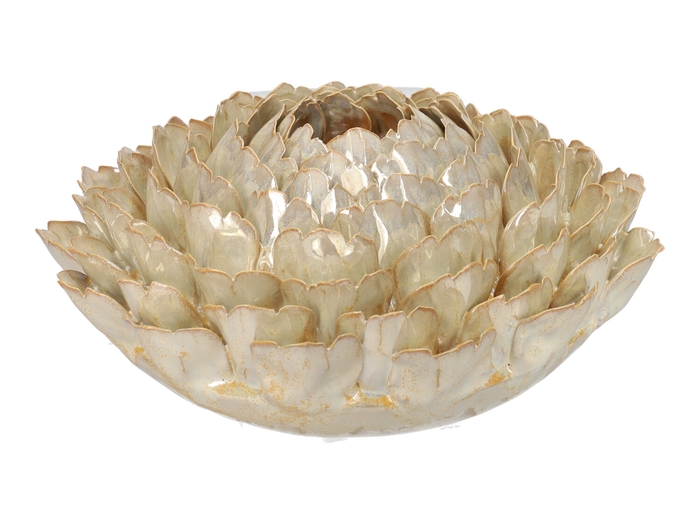 <h4>DF03-731110300 - Vase Lotus d19xh8.5 beige</h4>