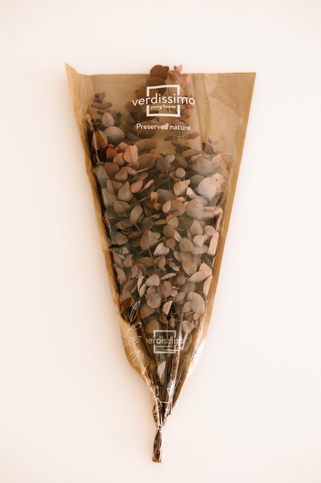 <h4>Eucalyptus Cinerea Mocha Cocoa</h4>