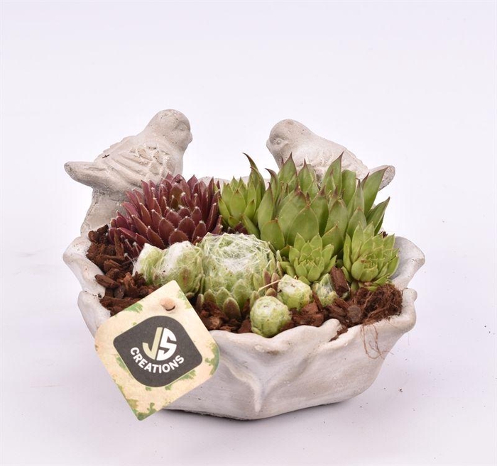 <h4>Cement vogelschaal 18cm</h4>