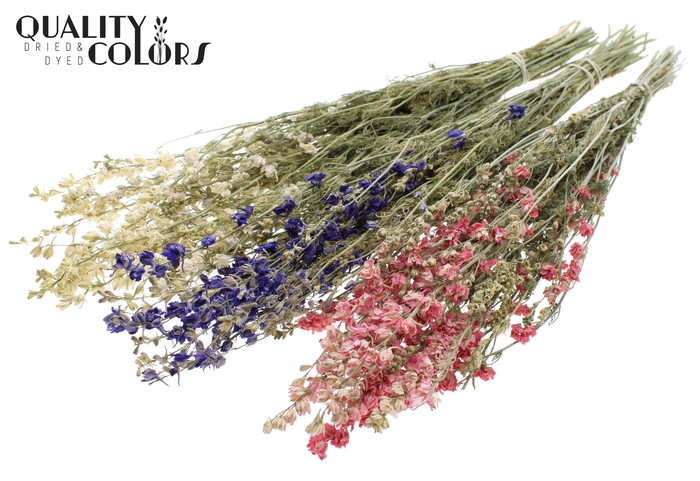 <h4>Delphinium Dried per bunch Mixed Colours</h4>