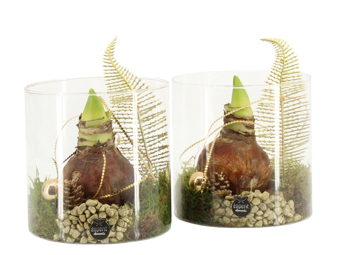 <h4>61921: X-mas arrangement</h4>