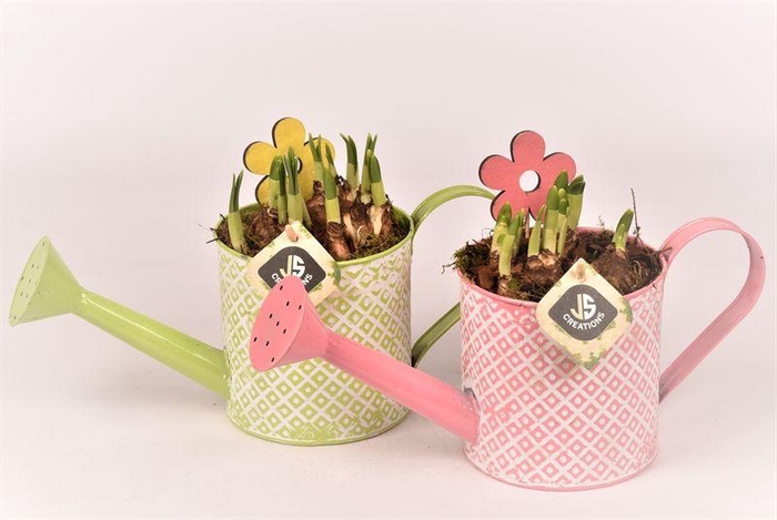 <h4>Zink gieter groen/roze 12cm</h4>