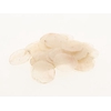 Capiz Shell 500g