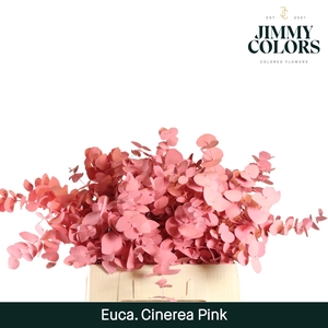 Cinerea per bos 200g Pink