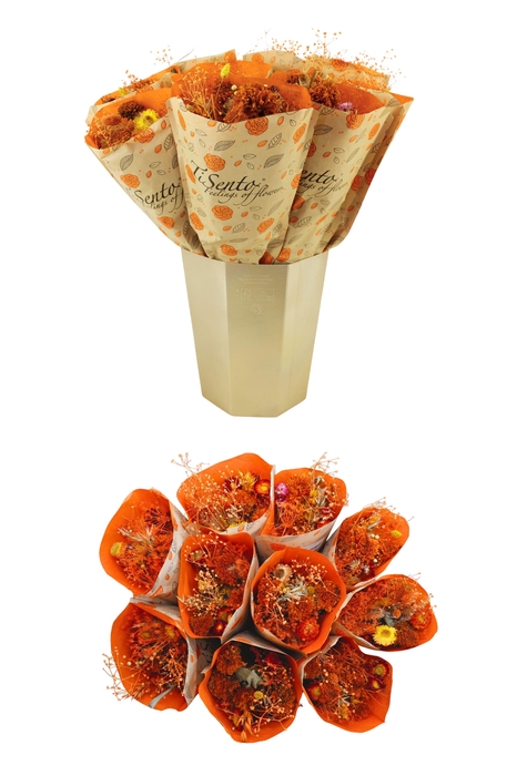 <h4>DROOGBL BEWERKT H%</h4>