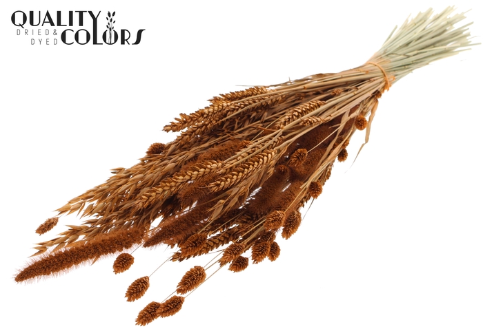 <h4>Dried Flower mix bunch Terracotta</h4>