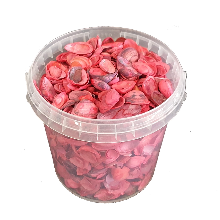 Shells north sea 1 ltr Red