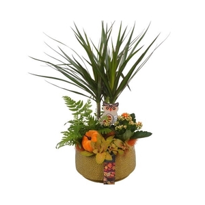 PTHI5524 Arrangement Herfst Indoor in keramiek pot