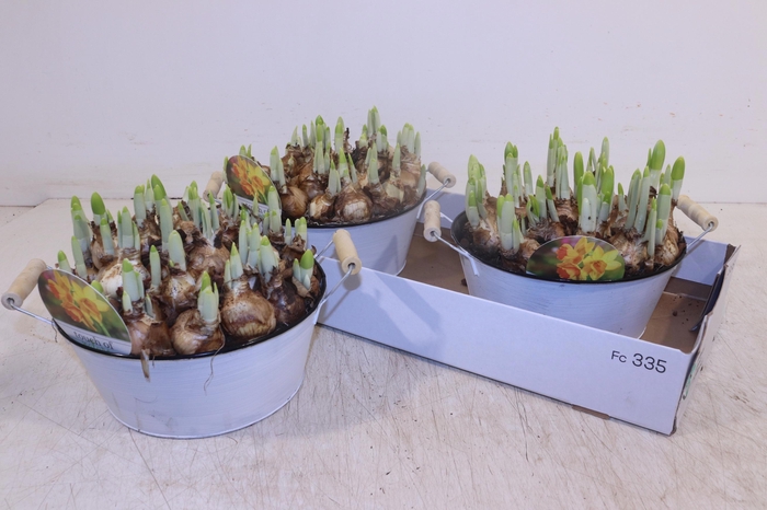 <h4>ARR N TETE A TETE</h4>