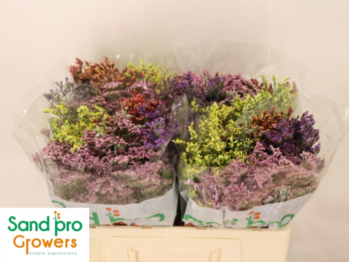 <h4>GEM ZOMERBOEKET</h4>