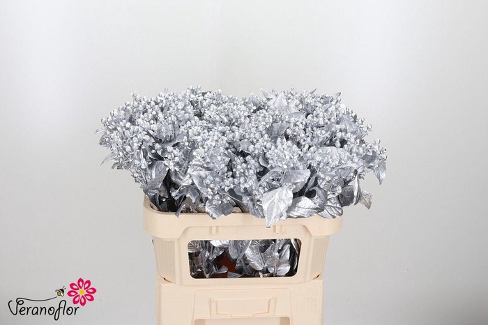 <h4>HYP OV KLB H%</h4>