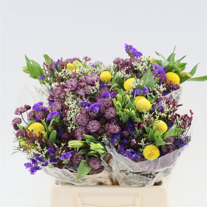 <h4>Gemengd boeket Zomerboeket overig</h4>