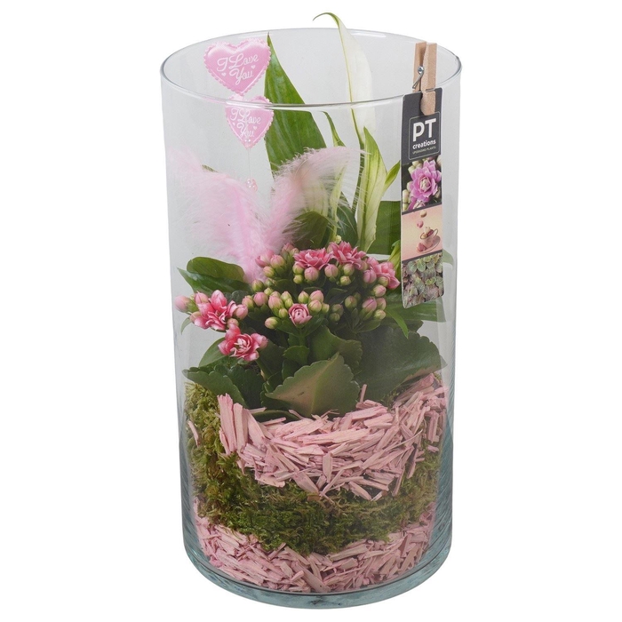<h4>Arr.    Planten  L%</h4>