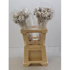 KERST OP STOK MIX WIT