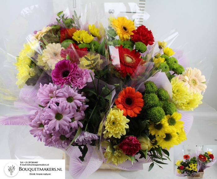 <h4>GEM BOEKET OV</h4>