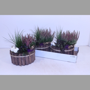 ARR TUINPLANTEN