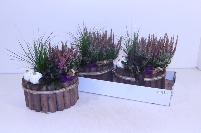 <h4>ARR TUINPLANTEN</h4>