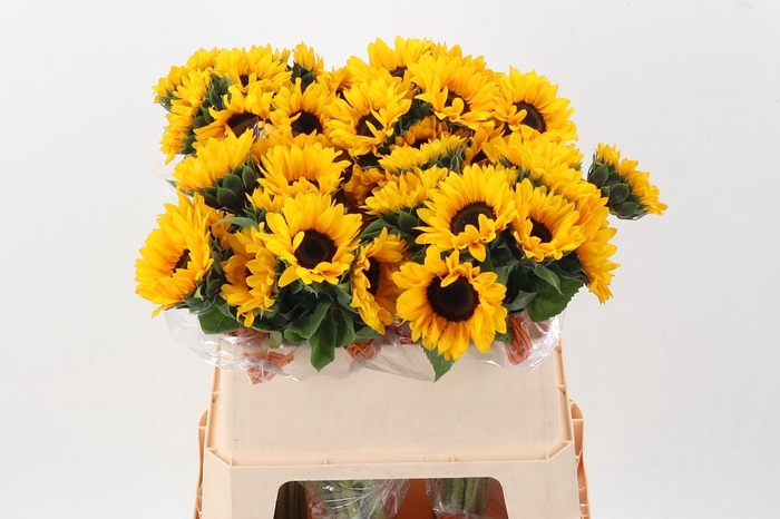 <h4>Heli Orange Fire</h4>