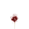 Artificial flowers Carnation Spider 55cm