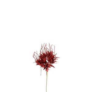 Kunstbloemen Carnation Spider 55cm