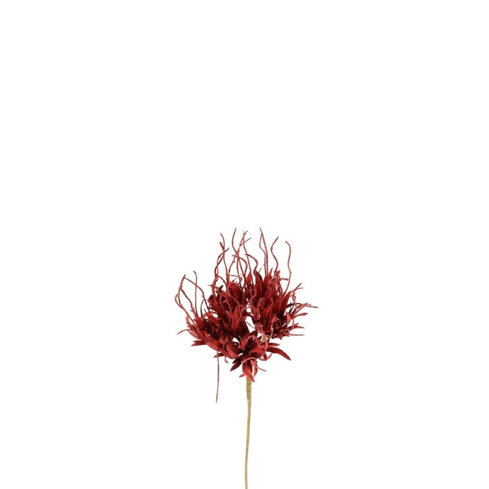 <h4>Kunstbloemen Carnation Spider 55cm</h4>