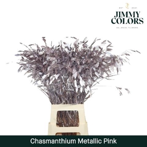 Chasmanthium L70 Metallic Pink