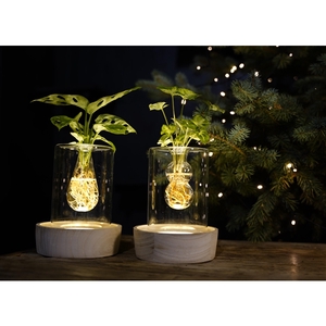 Christmas | Mix in Sydney glas + LED