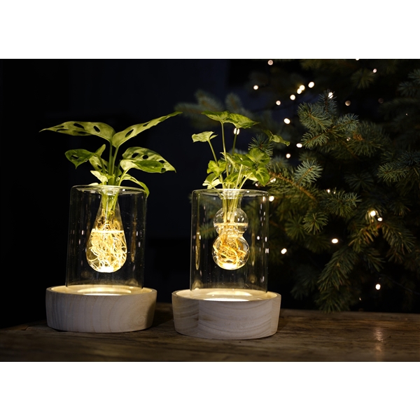 <h4>Christmas | Mix in Sydney glas + LED</h4>