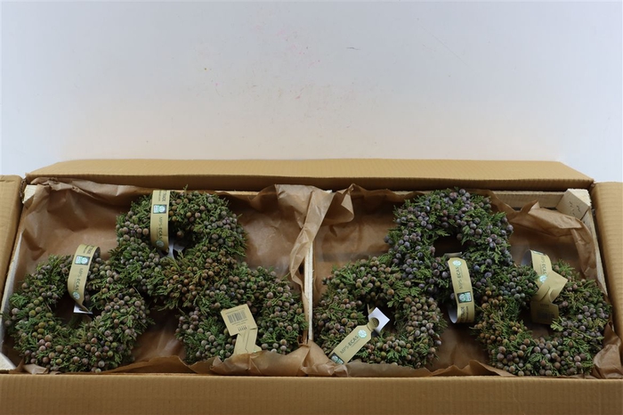 <h4>Wr Sierfruit Juniperus Naturel 20cm (elvan Cicek)</h4>