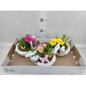 Arr.   Tuinplanten L%