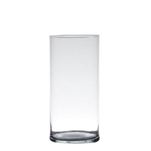 Glas Cilinder d12*25cm