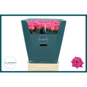 R GR CHARLOTTE GLAMOUR