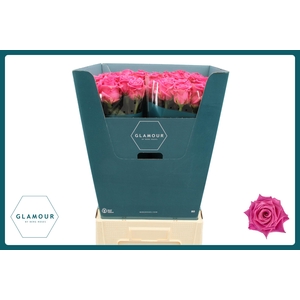 R GR CHARLOTTE GLAMOUR