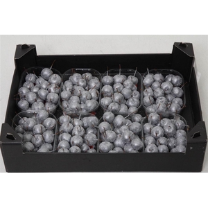 Appel (wax+gl) X8 Silver