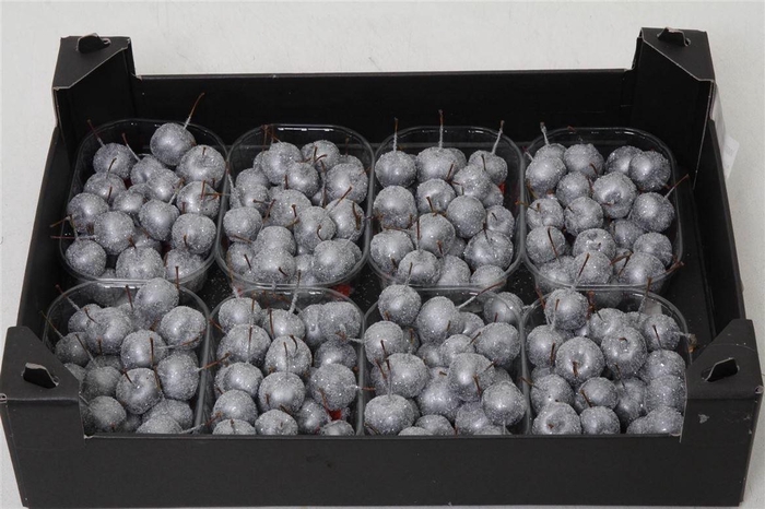 <h4>Appel (wax+gl) X8 Silver</h4>