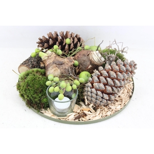 arr4 Amaryllis MB - Zink plate green L 2bol