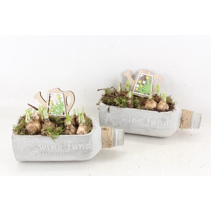 arr4 Narcis JS - Keramiek wijnfles